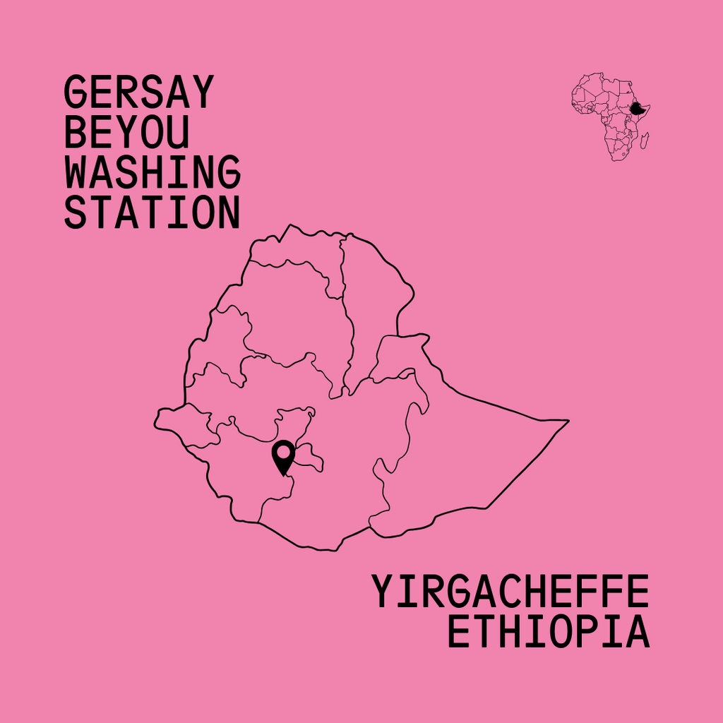 Ethiopia Gersay Natural