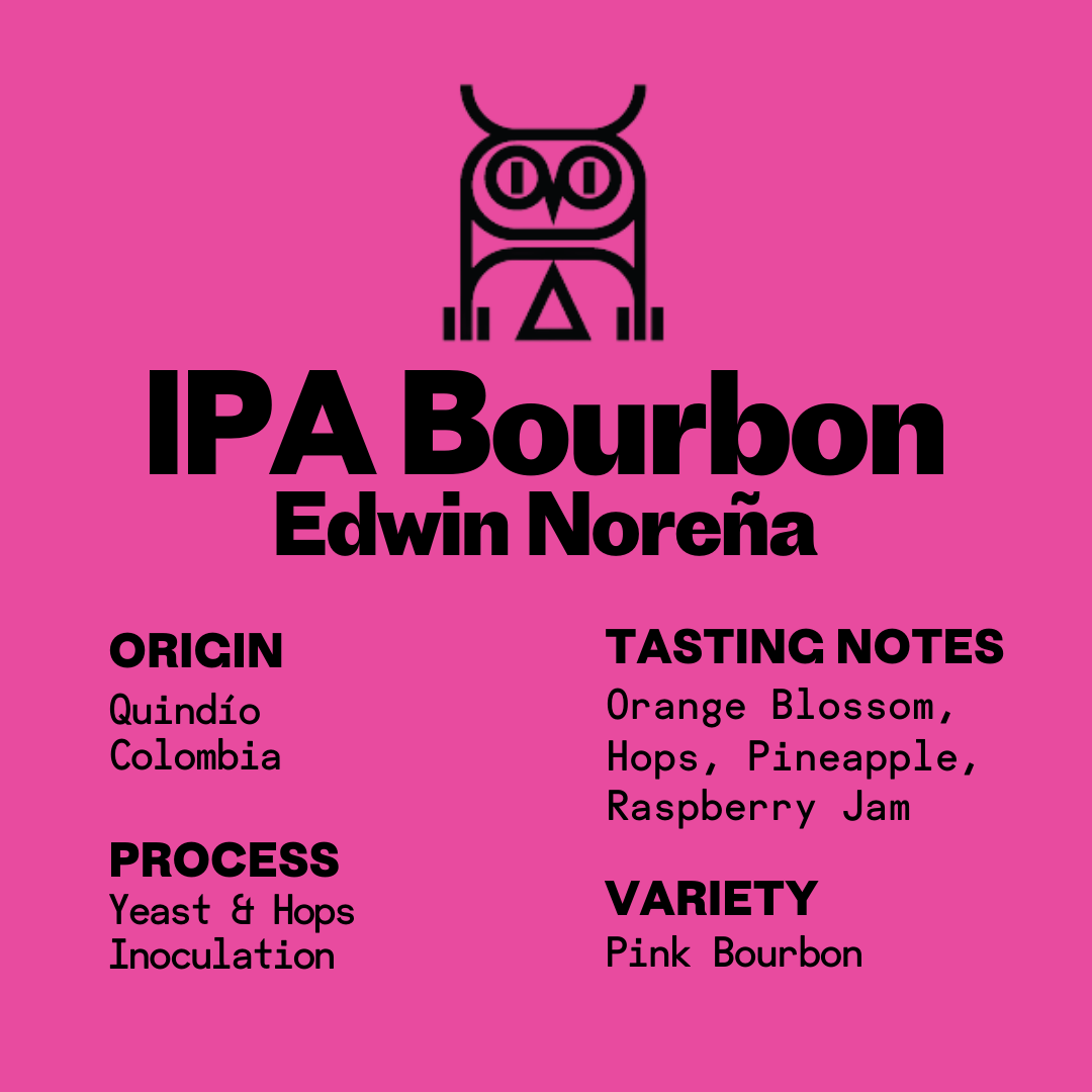 Edwin Noreña IPA Process