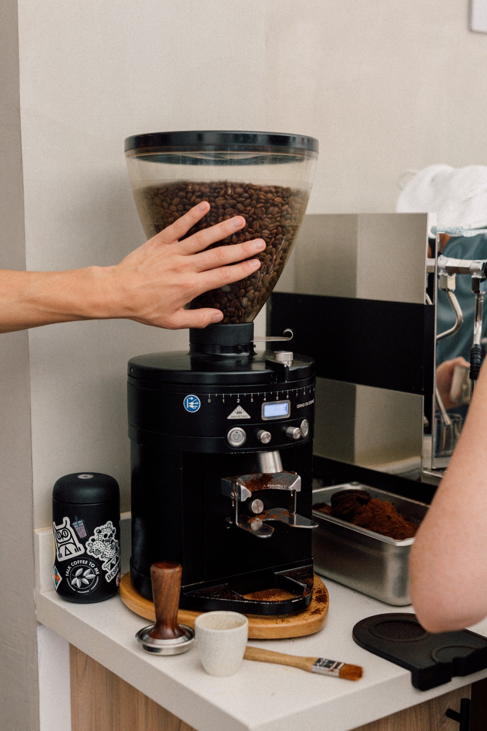 barista using a coffee grinder with coffee beans in a coffee shop during a coffee class, barista class.