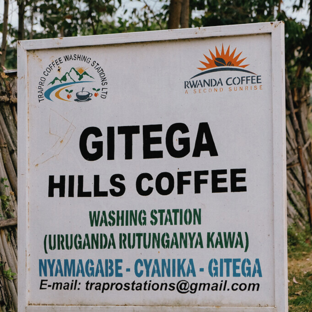 Rwanda Gitega Hills Washed